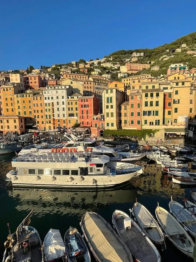 Da Un'Antica Dimora Di Pescatori Sul Porticciolo Διαμέρισμα Camogli Ιταλία
