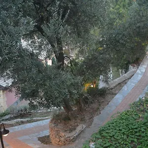 Olivari - Apt Il Melograno Camogli